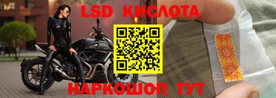 марки lsd Будённовск