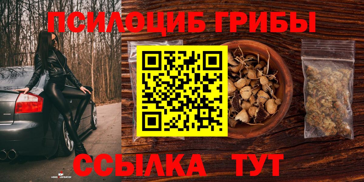 Моздок  Псилоцибиновые грибы Psilocybe  Вход с VPN 